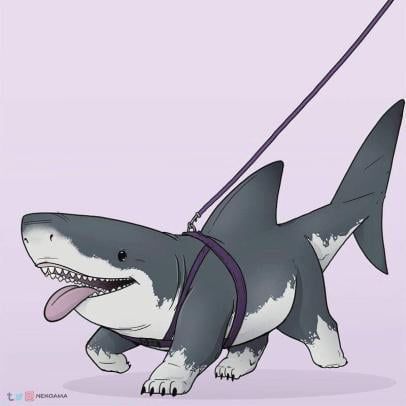 Landshark! Shark Drawing, Shark Art, Cute Shark, Cute Fantasy Creatures, Creature Drawings, Fantasy Creatures Art, Mythical Creatures Art, Creature Concept Art, 판타지 아트