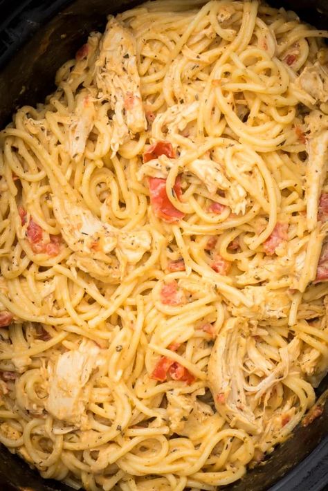 Crockpot Chicken Spaghetti: Easy & Cheesy Spaghetti Recipe 2 Chicken Spaghetti Easy, Crockpot Cheesy Chicken Spaghetti, Slow Cooker Cheesy Chicken Spaghetti, Crockpot Cheesy Chicken Spaghetti Recipe, Crockpot Chicken Spaghetti Cooking In The Midwest, Crockpot Chicken Spaghetti Luke Brown, Spaghetti Easy, Crockpot Chicken Spaghetti, Gallbladder Diet