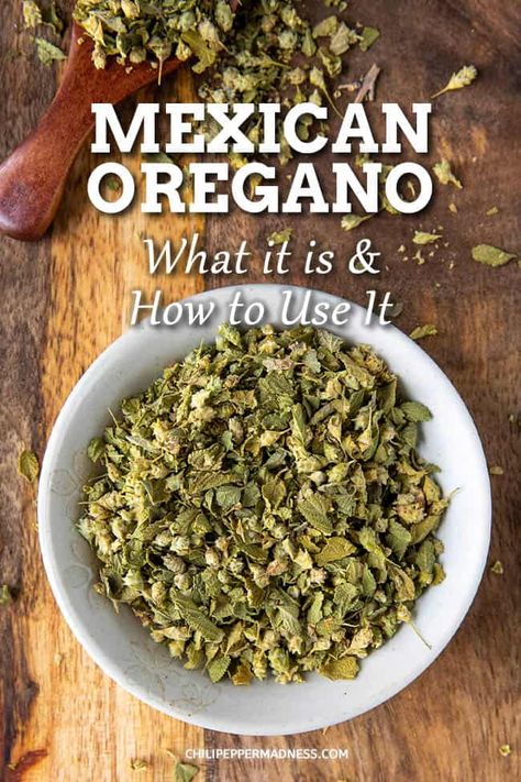 Recipes Using Mexican Oregano, Mexican Oregano Plant, Mexican Oregano Recipes, Cuban Oregano Recipes, Seasoning Recipes Homemade, Cuban Oregano, Tortilla Pinwheels Recipe, Oregano Recipes, Mexican Oregano