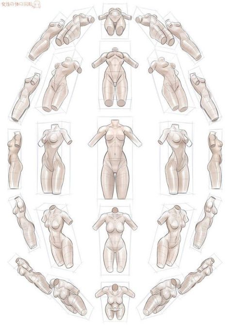 رسم كاريكاتير, Female Anatomy Reference, Perspective Sketch, Sketches Doodles, Drawing Female Body, Human Anatomy Drawing, Body Drawing Tutorial, Human Figure Drawing, Human Anatomy Art