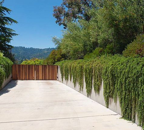 ║ENTRY INSPO║ Amazing the power of plants...an mass of greenery spilling over a concrete wall creates the most effective and informal… Covered Driveway, Fence Driveway, Driveway Landscape, Slat Fence, Retaining Wall Design, Landscape Contemporary, Residential Landscaping, Driveway Entrance, Landscaping Retaining Walls