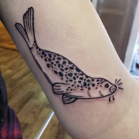 Aleah Safago on Instagram: “Look at this adorable seal boy I got to do yesterday 😭 sometimes I tear up when I do a tiny animal tattoo... Yesterday was one of those…” Harbor Seal Tattoo, Seal Tattoo Simple, Ocean Animal Tattoos, Sea Animal Tattoos, Salmon Tattoo, Scottish Tattoo, Otter Tattoo, Seal Tattoo, Animal Mobile