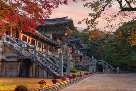 South Korea Temples, Gyeongju South Korea, Korea Temple, Korean Temple, Korea Autumn, Autumn In Korea, Ancient Korea, Himeji Castle, Buddha Temple