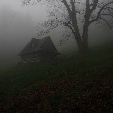 Cottage Gore, Dark Naturalism, Dark Fairycore, Dark Green Aesthetic, Dark Nature Aesthetic, Dark Cottagecore, Dark Paradise, The Fog, Jolie Photo