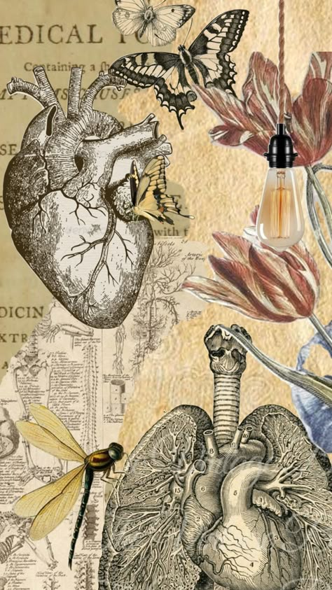 Science Respiratory System, Vintage Medical Art, Helloween Wallpaper, Cat Anatomy, Medical Wallpaper, Biology Art, Etiquette Vintage, Romantic Wallpaper, Gothic Wallpaper