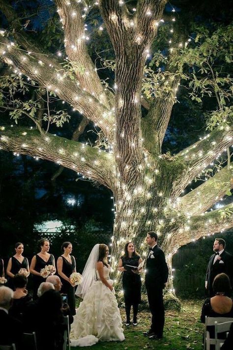 Night Wedding Ceremony, Outdoor Night Wedding, Night Wedding Photos, Romantic Backyard, Fairy Lights Wedding, Wedding Ceremony Ideas, Sparkle Wedding, Outdoor Wedding Decorations, Mod Wedding