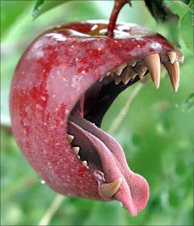 They had warned her that fruit was dangerous. _________ had taken no notice of them. Suddenly the apples began to smirk, then laugh. ________ felt a great sense of unease.  Continue writing the story. (Upper KS2 due to image) Photo Writing Prompts, Writing Pictures, Picture Writing Prompts, Bad Apple, Picture Prompts, Story Starters, Story Prompts, Creative Writing Prompts, Ideas Patio