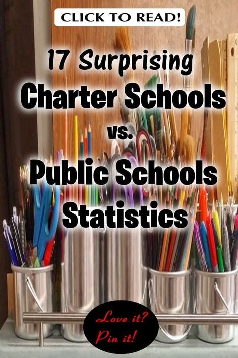 Wondering about charter school vs public school? The differences between charter schools vs public schools may surprise you. While there are epic charter schools, the rights respecting schools charter aren’t always equal. Here, we’ll look at charter schools and their enemies and why some people oppose them. Public schools vs private schools. Are public schools always better? Or are charter schools always better? #CharterSchools #EducationalFreedom #EducationalAlternatives #EducationStatistics Private School Vs Public, Rights Respecting Schools, Science Gadgets, Teaching Class, Homeschool Board, Third Grade Science, Private Schools, Vegan Kids, Charter School