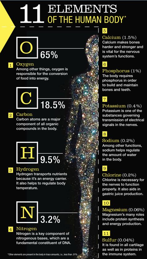 Human Body Facts, Astronomy Facts, Basic Anatomy And Physiology, Spiritual Psychology, Interesting Science Facts, Biology Facts, Sacred Science, Cool Science Facts, Spirit Science