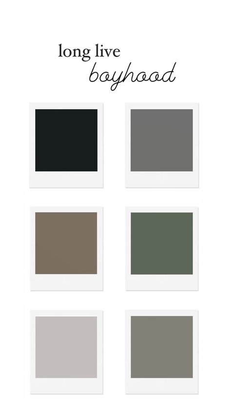 Green Bedroom Color Palette, Toddler Bedroom Colors, Black Boy Room, Grey Color Pallets, Green Bedroom Colors, Rustic Boys Room, Boys Room Colors, Color Palette Living Room, Taupe Colour