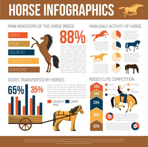 Horse breeds infographic presentation fl... | Free Vector #Freepik #freevector #infographic #banner #poster #business Horse Infographic, Poster Business, Mini Horses, Poster Flat, Infographic Presentation, Infographic Poster, Horse Posters, Mini Horse, Poster Ideas