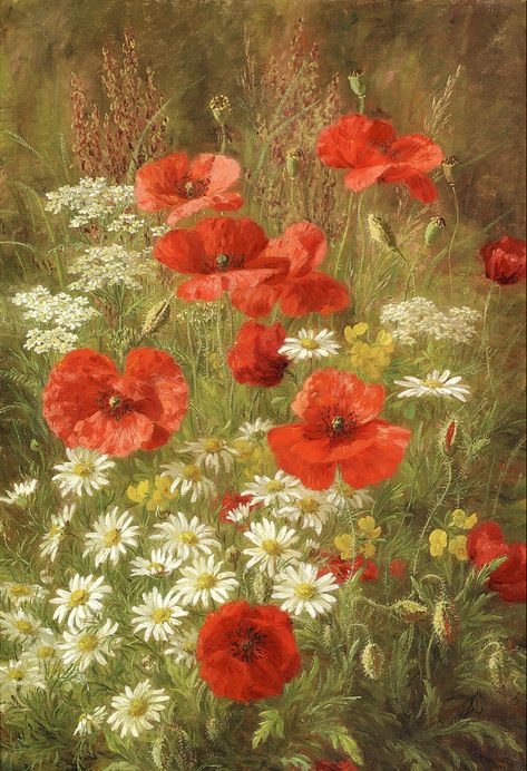 A close up of wildflowers in a field. There are red poppies, daisies, white and yellow flowers and grasses. Some of the poppies are in bud, others full, yet others now turned to pod. Meadow Flowers Painting, Wallpaper Pairs, Clover Painting, Poppies And Daisies, Fav Wallpaper, Nature Oil Painting, Carrot Flowers, Yellow Fields, Field Landscape