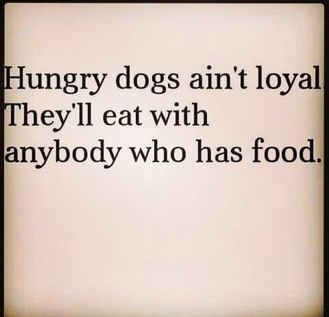 Hungry dogs ain't loyal Hungry Dogs Are Never Loyal Quotes, Hungry Dogs Are Never Loyal, Loyal Quotes, Talk To Me Quotes, Hungry Dog, Gangsta Quotes, Mom Life Quotes, Proverbs Quotes, Quotes About Love And Relationships