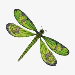 Dragonfly Clipart, Wire Diy, Dragon Fly, Clever Crafts, 3d Cartoon, Png Transparent Background, Png Transparent, Cactus Plants, Drawing Ideas