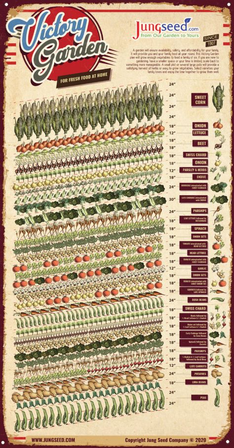 Victory Garden Plans, Vegetable Garden Layout Design, Garden Planning Layout, Small Backyard Design Ideas, Urban Backyard, Tattoo Plant, Backyard Design Ideas, Garden Layout Vegetable, Vegetable Garden Planning