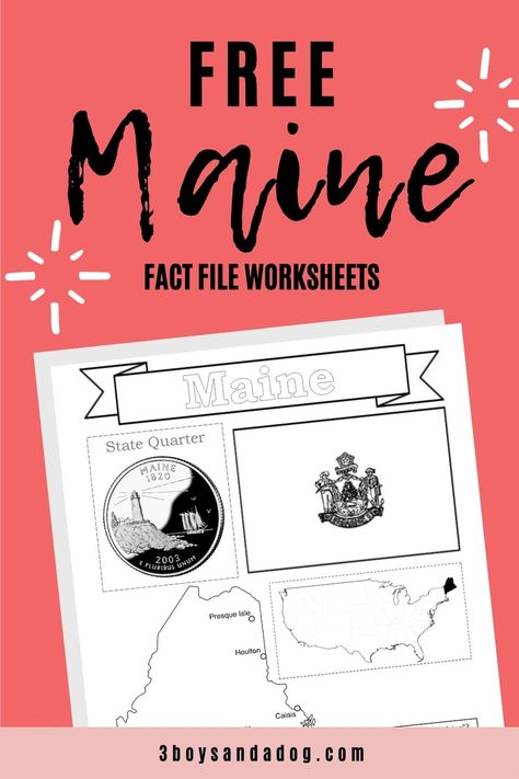 State Of Maine Worksheets, Homeschool Worksheets Free, Main Idea Worksheet, Geography Worksheets, Maine State, State Of Maine, Homeschool Worksheets, Study Unit, Animal Crafts