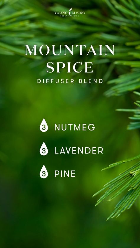 Nutmeg Diffuser Blends, Nutmeg Essential Oil Blends, Nutmeg Essential Oil Young Living, Diffuser Blends Young Living, Essential Oils Young Living, Eo Blends, Nutmeg Essential Oil, Pine Essential Oil, Essential Oil Diffuser Blends Recipes