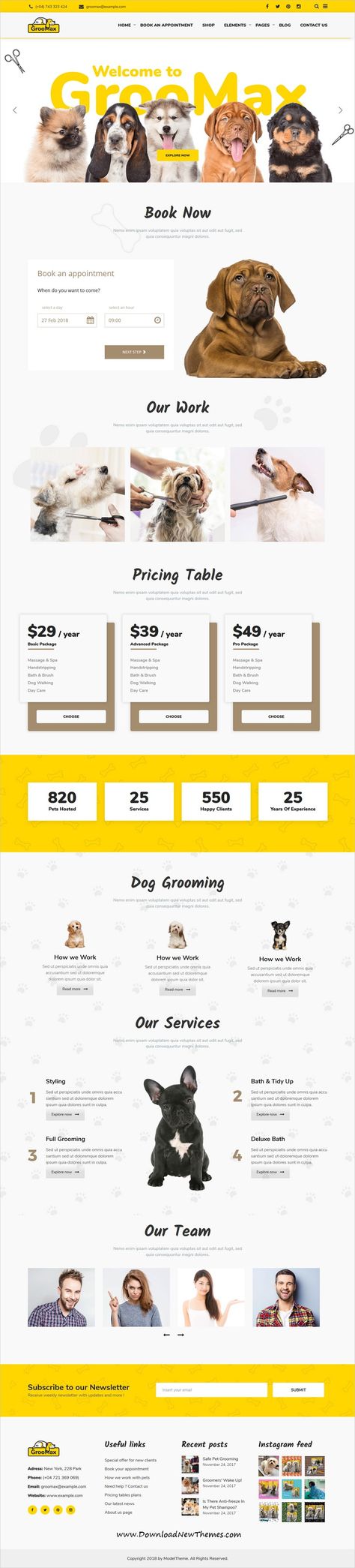 Groomax is clean and modern design 3in1 responsive #WordPress theme for #pet #grooming and shop eCommerce website to live preview & download click on image or Visit 👆 #webdesign Dog Grooming Website, Dog Banner, Pet Websites, Pet Grooming Shop, Ux Design Portfolio, Dog Spa, Cold Email, Grooming Shop, Dog School