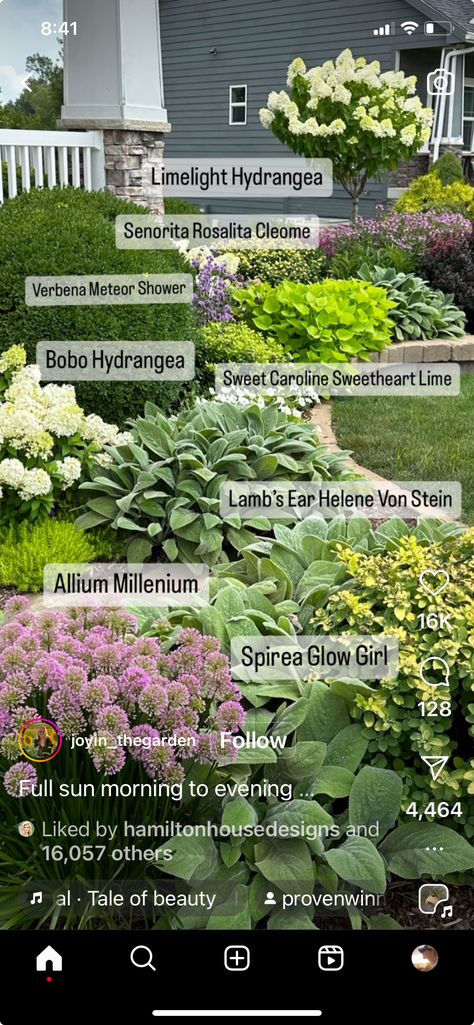 Illinois Landscaping Ideas, Plant By Numbers Gardens, Michigan Landscaping Ideas, Ranch House Landscaping, Michigan Landscaping, Bobo Hydrangea, Patio House, Yard Makeover, Limelight Hydrangea