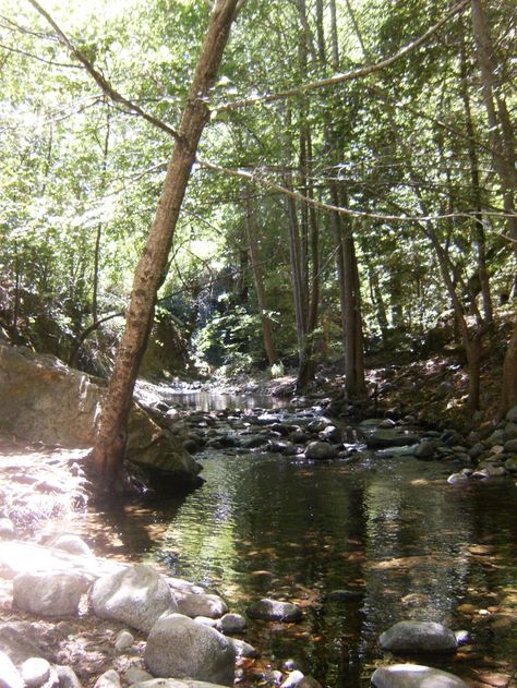 Boulder Creek, CA. Looking up the creek from its juncture with the San Lorenzo River in the Santa Cruz Mountains, high summer. Photo by Blue Gryphon Media, shared on Pinterest under Creative Commons License Attribution-NonCommercial-ShareAlike 3.0 Unported (CC BY-NC-SA 3.0), details @ http://creativecommons.org/licenses/by-nc-sa/3.0/ . Monahans Sandhills State Park, Shore Acres State Park Oregon, Smith Rock State Park, Hillsborough River State Park, Boulder Creek, Bixby Creek Bridge Big Sur, Santa Cruz Mountains, The Way I Feel, Watch This Space