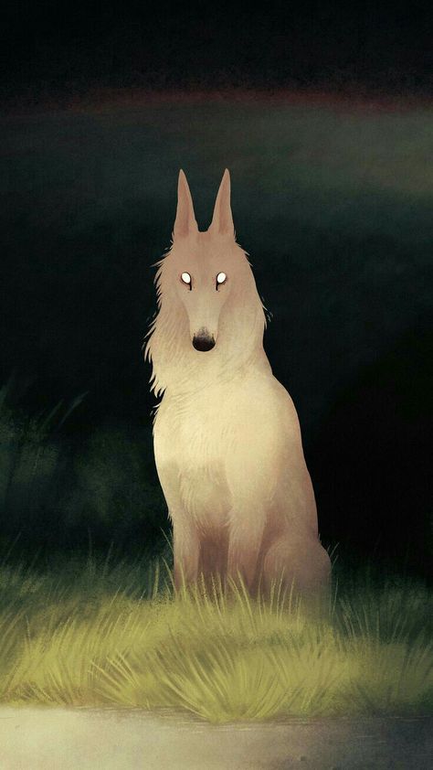 Jenna Barton, Wildlife Photographer, Canine Art, White Wolf, Dessin Adorable, Wolf Art, Arte Fantasy, 영감을 주는 캐릭터, Pics Art