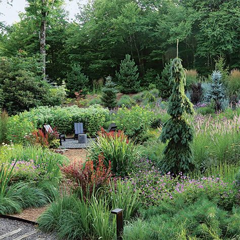 California Meadow Garden, Massachusetts Native Garden, Native Gardens Midwest, Native Meadow Garden, Backyard Meadow Garden, Meadow Garden Design, Stylized Meadow Garden, Minnesota Native Garden, Meadow Garden Landscaping