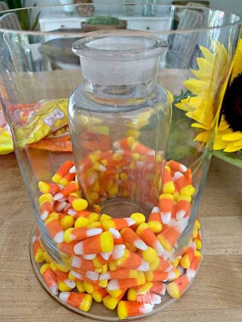 candy corn around narrow glass vase that is inside a wide glass vase Candy Corn Centerpieces, Candy Corn Vase Centerpieces, Candy Corn Vase Filler, Glass Pumpkin Decor Ideas, Fall Glass Vase Filler Ideas, Diy Halloween Candy Jar, Thanksgiving Flower Centerpieces, Fall Vase Filler, Diy Thanksgiving Centerpieces