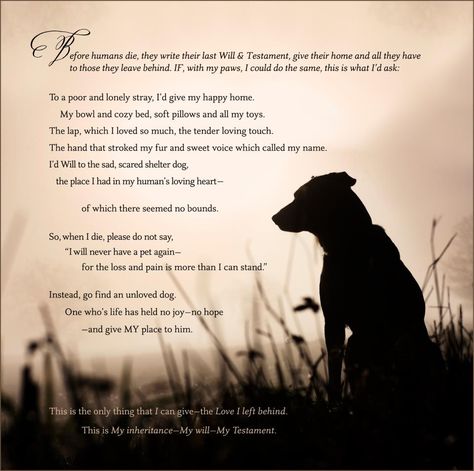 A dog's last will & testament-- This is so sad but I feel it is so true! My brother sent this to me earlier and it makes me miss my little man SO much. In the same sense, it makes me want to cuddle the babies that I still have with all my might. Dog Best Friend Quotes, Fuzzy Animals, I Want To Cuddle, Irish Setters, 3 Dogs, Last Will And Testament, Will And Testament, Touch Love, Pets 3