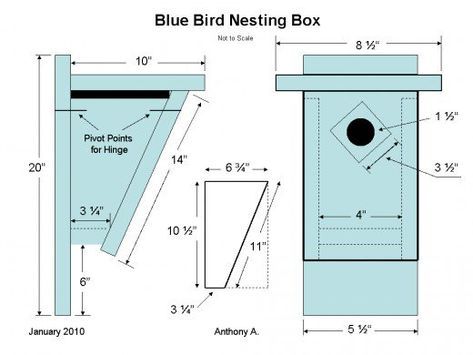 Build you own Peterson bluebird nest box plans with these step by step instructions. Entice more of these beautiful birds to visit with our tips for attracting bluebirds into your garden. Bluebird House Plans, Blue Bird House, Bird House Plans Free, Bird Nesting Box, Diy Birdhouse, Birdhouse Plans, Bird Feeder Plans, Birdhouse Ideas, Bluebird House