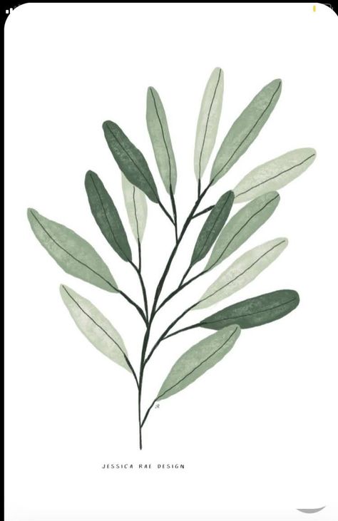 Olive Branch Illustration, Branch Illustration, Digital Illustration Tutorial, Illustration Botanical, Illustration Simple, Landscape Digital, Watercolor Fashion, Soyut Sanat Tabloları, Watercolor Plants