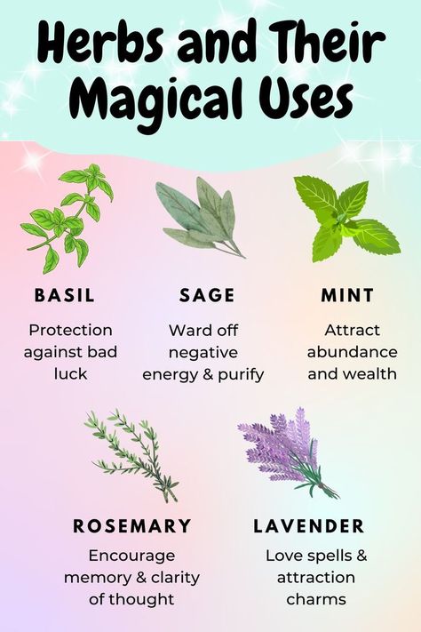 Herbs have been used for centuries by many cultures around the world in spiritual rituals and healing practices. With their pleasant smells and healing properties, herbs can bring balance, harmony and luck into our lives when we need it most! If you’re looking for a spiritual boost in your life, take a look at this guide to herbs and their magical uses.  #herbsandtheirmagicaluses #magicalherbs #magicalusesforherbs #magicalpropertiesoflavender #spiritualusesforherbs #herbsforspirituality Magical Herbs Witchcraft, Herb Guide, Spiritual Rituals, Magickal Herbs, Witch Herbs, Cultures Around The World, Lucky Plant, Healing Practices, Green Witchcraft