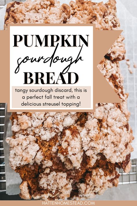 Sourdough Discard Pumpkin Bread, Pumpkin Sourdough Discard Recipes, Sourdough Discard Quick Bread, Pumpkin Bread With Streusel Topping, Sourdough Discard Pumpkin, Pumpkin Bread With Streusel, Sourdough Pumpkin Bread, Sourdough Discard Bread, Pumpkin Breads