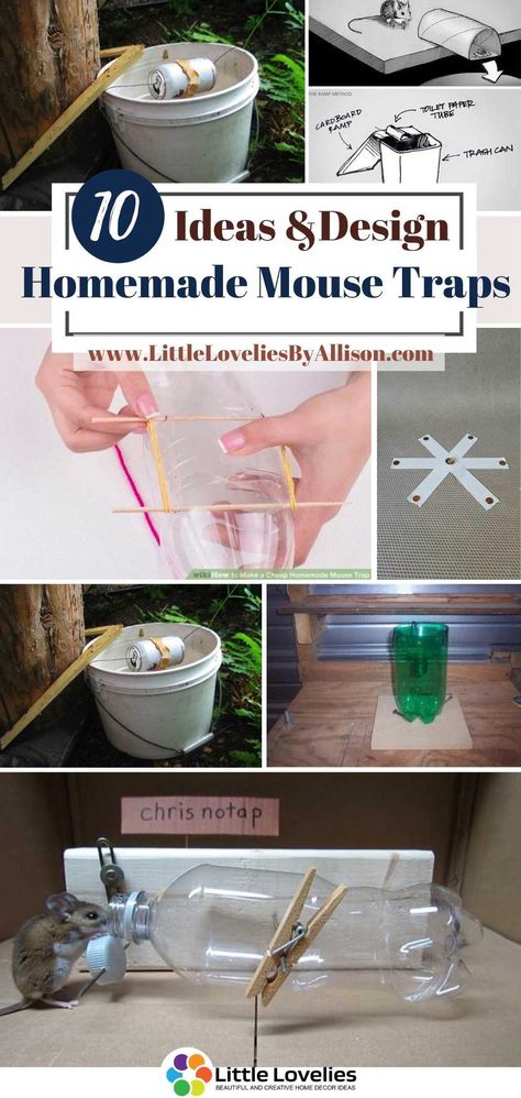 I know how annoying it is to have a mouse in the house. Those little rascals know how to mess things up. There’s the option of buying a mouse trap from stores around you. However, building homemade mouse traps can be very satisfying, especially when they serve their purpose. In this article, I have put together a list of homemade mouse traps that you can DIY from the comfort of your home. #MouseTraps How To Catch A Mouse In The House, Homemade Mouse Trap, Homemade Mouse Traps Diy, How To Get Rid Of Mice In The House, Diy Mouse Trap, Mouse Trap Diy, Squirrel Repellent, Live Mouse Trap, Mouse Catcher