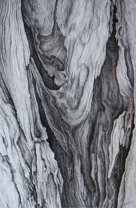 Tree Bark Sketch, Tree Texture Art, Tree Texture Drawing, Form In Art, Texture Sketch, Tree Texture, Earth Texture, Tree Bark Texture, Dry Tree