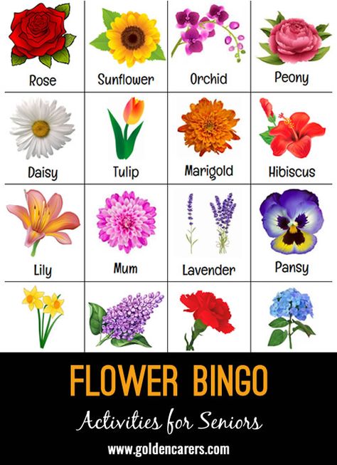 A 'Flower' themed bingo game! Different Types Of Ladybugs, Flowers Different Types, Flower Games Party, Flower Images Pictures, Different Type Of Flowers, Fleur Cowles, Pics Of Flowers, Flowers List, Type Of Flowers