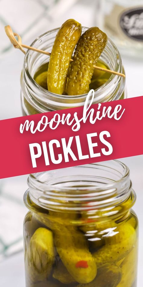 Canning Moonshine, Boozy Pickles Recipe, Alcohol Pickles, Diy Moonshine Recipes, Pickle Moonshine Recipe, Moonshine Pickles Recipe, Boozy Pickles, Drunken Pickles, Vodka Pickles