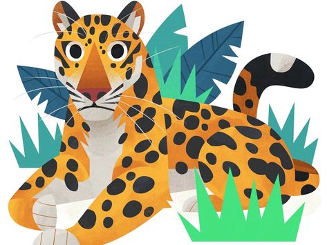 Jaguar Pictures, Casino Banner, Jungle Drawing, Fashion Illustration Face, Interior Murals, Jungle Art, American Animals, Mexico Art, Animal Illustrations