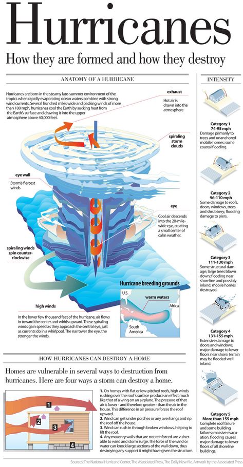 Meteorology Notes, Infographic Science, World History Facts, Science Infographics, Weather Science, Physical Geography, Geography Lessons, Earth And Space Science, Science Notes