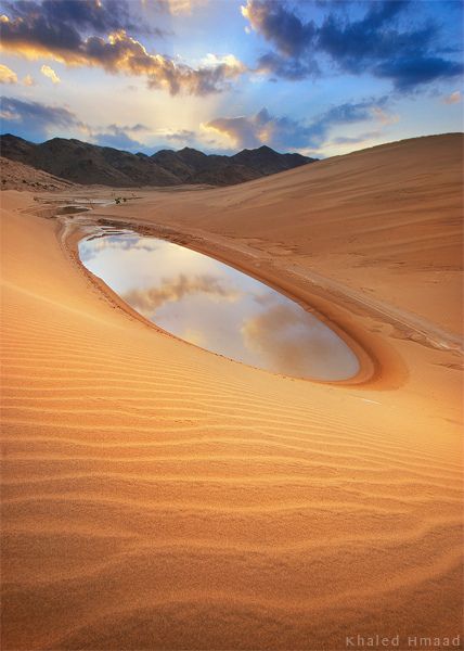 Deserts Of The World, Desert Dream, Desert Life, Desert Oasis, Have Inspiration, المملكة العربية السعودية, Desert Landscaping, Zion National Park, Alberta Canada