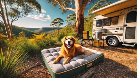 Camper Dog Bed: The Ultimate Adventure Companion! Camper Dog Bed, Camper Dog, Pet Camping, Pack Up And Go, Cozy Nook, Camping Experience, Pet Bed, Outdoor Adventure, Dog Bed