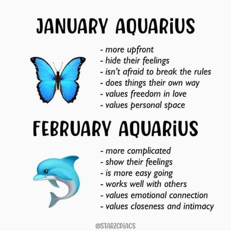 Aquarius Aesthetic Zodiac, January Aquarius, Aquarius Aura, Aquarius Lover, Rising And Moon Sign, Aquarius Szn, Leo Sun Scorpio Moon, Aquarius Girl, Aquarius Sun