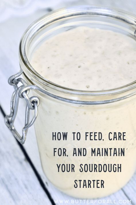 Sourdough Starter Care Instructions, How To Take Care Of Sourdough Starter, How To Start Making Sourdough, How To Share Your Sourdough Starter, Proofing Sourdough In Instant Pot, Sourdough Feeding Chart, Sourdough Bread Baking Timeline, How To Keep Sourdough Starter Alive, How To Strengthen Sourdough Starter