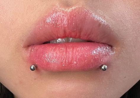 Double Labret Piercing, Side Labret, Snake Bite Piercing, Labret Piercing, Snake Bites, Piercing Ideas, Piercings, Vision Board, Nose Ring