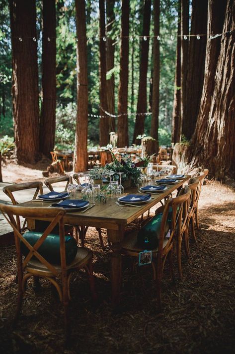 Bohemian laid back woodland wedding reception Forest Wedding With Rugs, Wood Fairy Wedding, Woodland Fairy Wedding Table Decor, Whimsical Forest Table Setting Tulle, Woodland Fairy Wedding Ceremony Decor, Woodland Elopement, Twilight Wedding, Elopement Shoot, Enchanted Forest Wedding