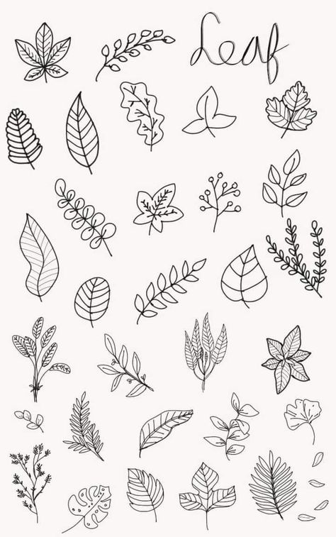 Doodle Leaves Leaf Design, Small Leaves Drawing, Leaves Doodle Art, Nature Doodles Simple, Flower Cluster Drawing, Simple Botanical Drawings, Leaf Doodle Art, Simple Leaf Drawing, Drawings Of Leaves