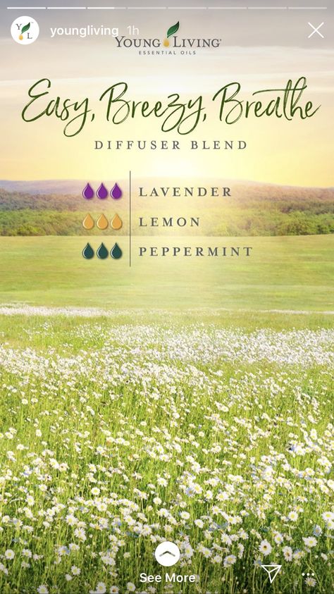 Laser Focus, Essential Oil Combinations, Essential Oil Diffuser Blends Recipes, Young Living Essential Oils Recipes, Essential Oils Guide, Essential Oil Diffuser Recipes, Oil Diffuser Recipes, Yl Essential Oils, Essential Oil Blends Recipes