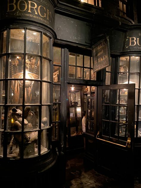 Harry Potter Borgin And Burkes, Buckbeak Harry Potter, Borgin And Burkes, Knockturn Alley, Harry Potter Orlando, Potter Aesthetic, Harry Potter Ideas, Dr Aesthetic, Disney Photo Ideas