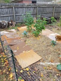 Why We Laid Cardboard In The Garden No Till Gardening With Cardboard, Cardboard In Garden, Cardboard Gardening, Gardening Notes, Vegetable Gardening Ideas, Huge Backyard, Organic Insecticide, Gardening Indoors, Secret Garden Book