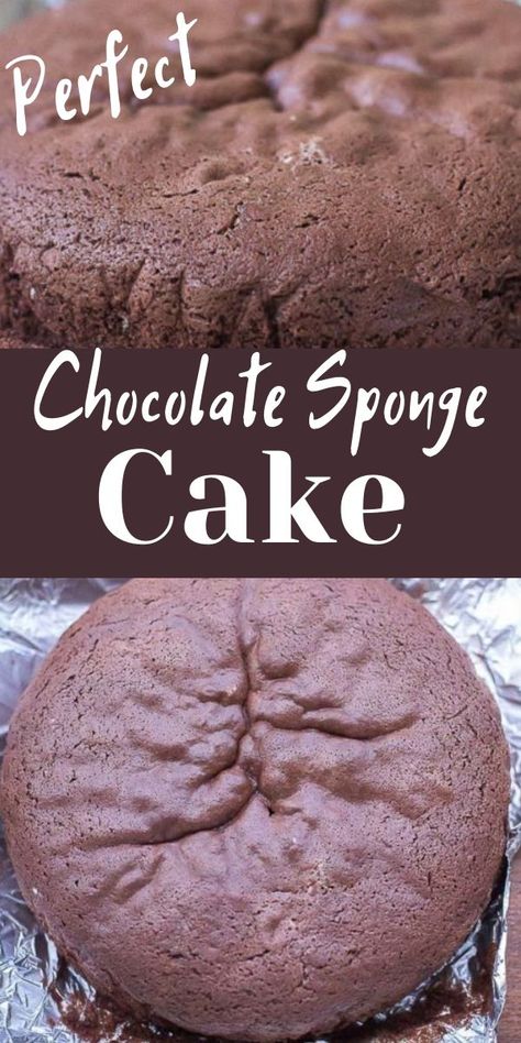 Chocolate Sponge Cake Recipe Moist, Chocolate Sponge Cake Recipe Easy, Spongy Cakes Recipe, Sponge Cake Recipe Best, Cakes Coconut, Chocolate Sponge Cake Recipe, Sponge Cake Decoration, Cakes Strawberry, Sponge Cake Easy