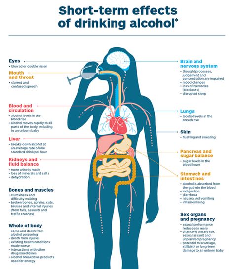 Short term effects of drinking alcohol Alcohol Awareness Activities, Alcohol Effects, Effects Of Drinking Alcohol, Future Surgeon, Brain Nerves, Lung Detox, Classroom Boards, Fetal Alcohol, Giving Up Alcohol